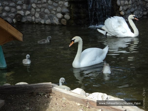 photo 1026879