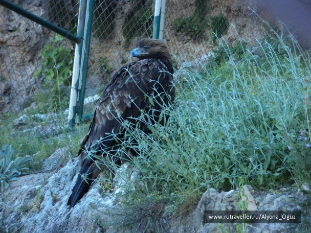 photo 1026885