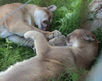 photo 1026886