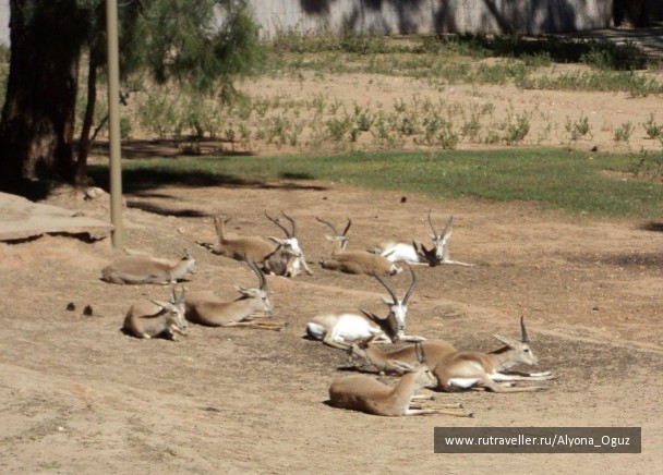 photo 1026888