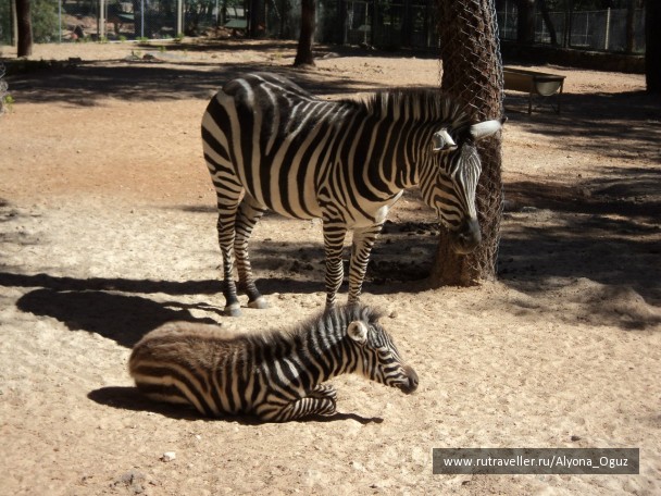 photo 1026891
