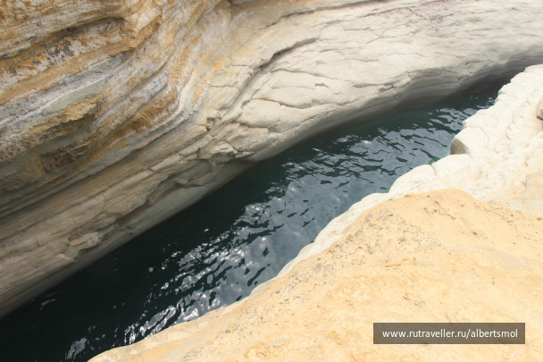 photo 473457