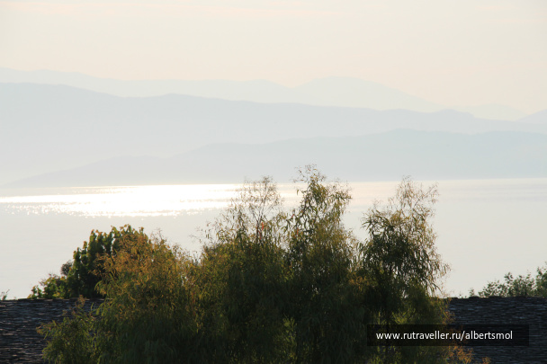 photo 473466