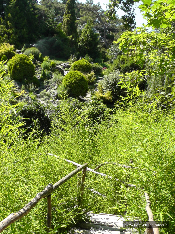 photo 406159
