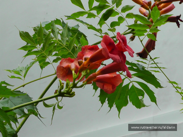 photo 406199
