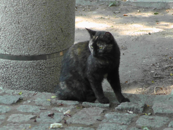 photo 439143