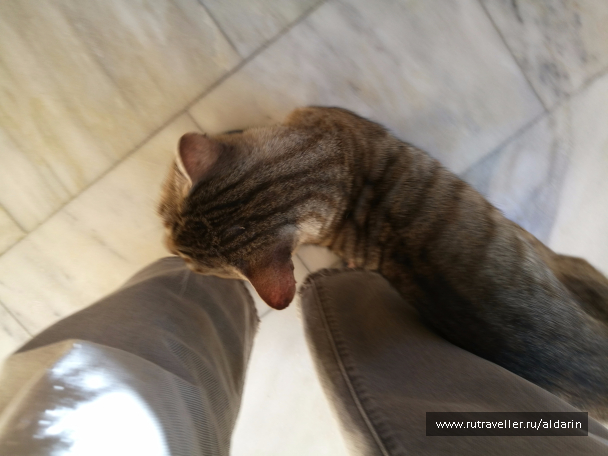 photo 1516144