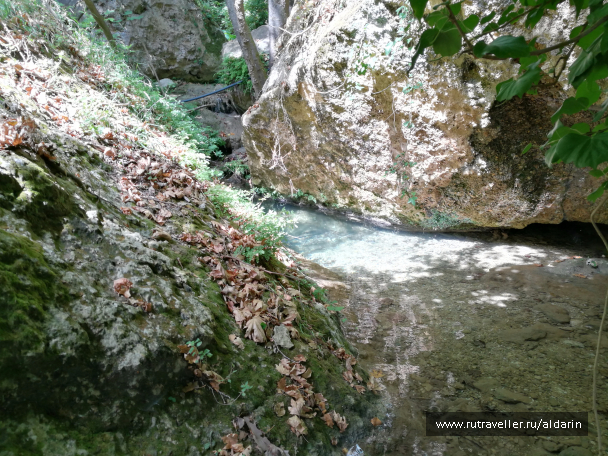 photo 1516165