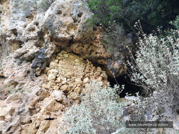 photo 1516167