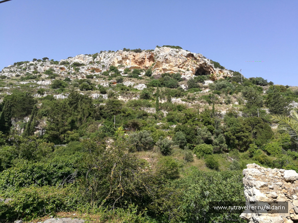 photo 1516170