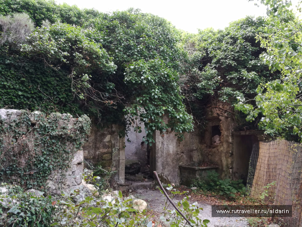 photo 1516171