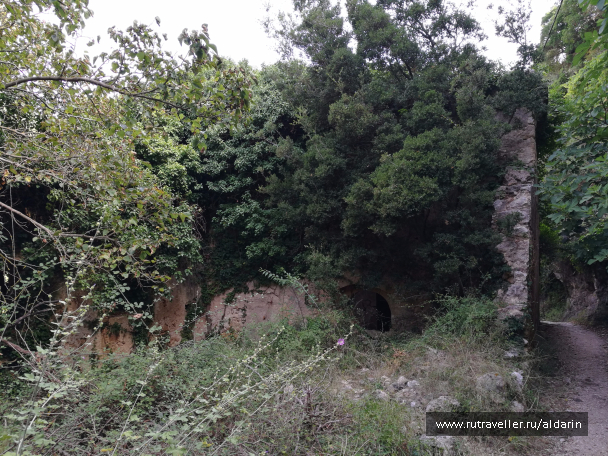 photo 1516172
