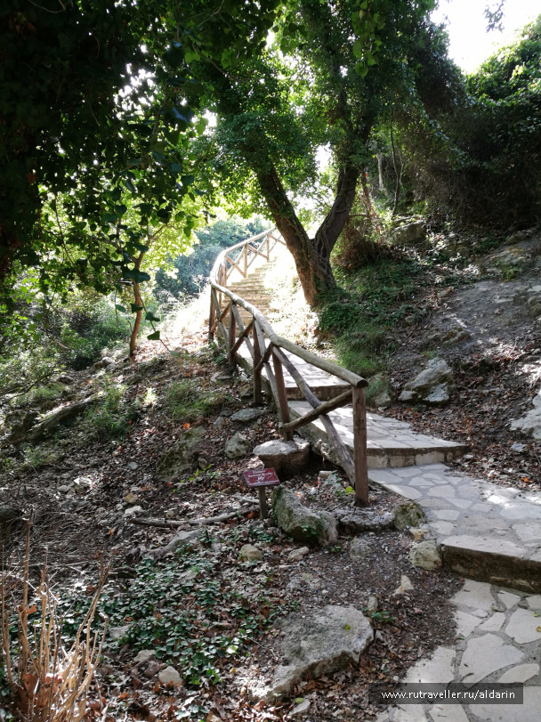 photo 1516174