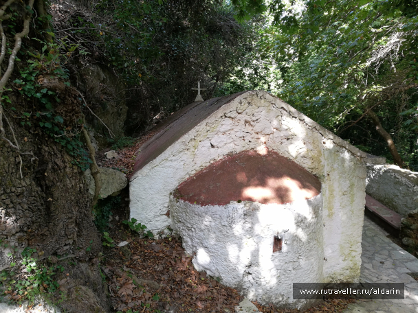 photo 1516175