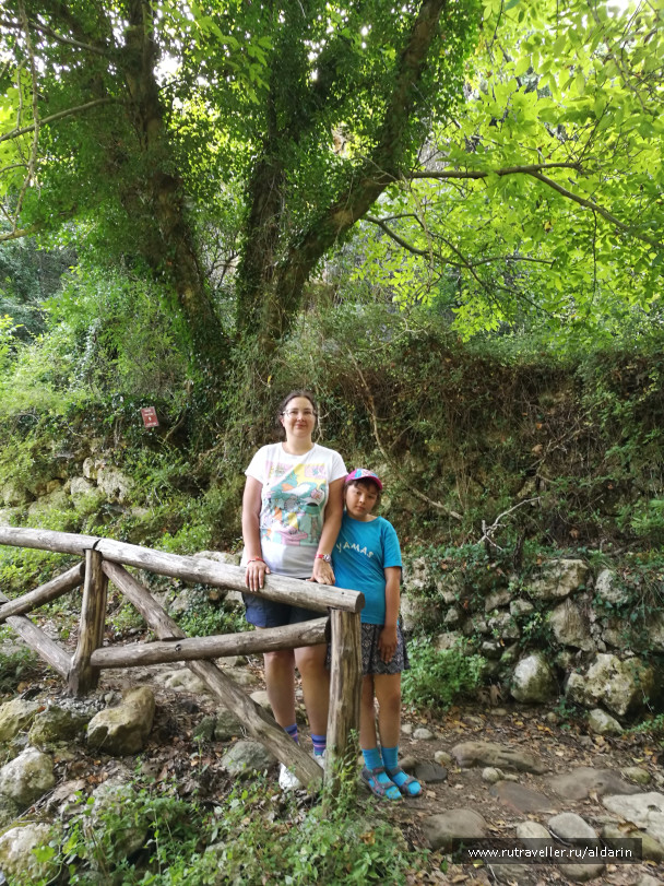 photo 1516179
