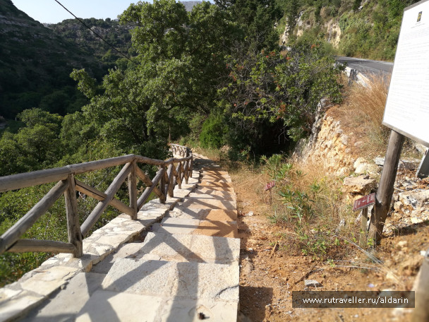 photo 1516182