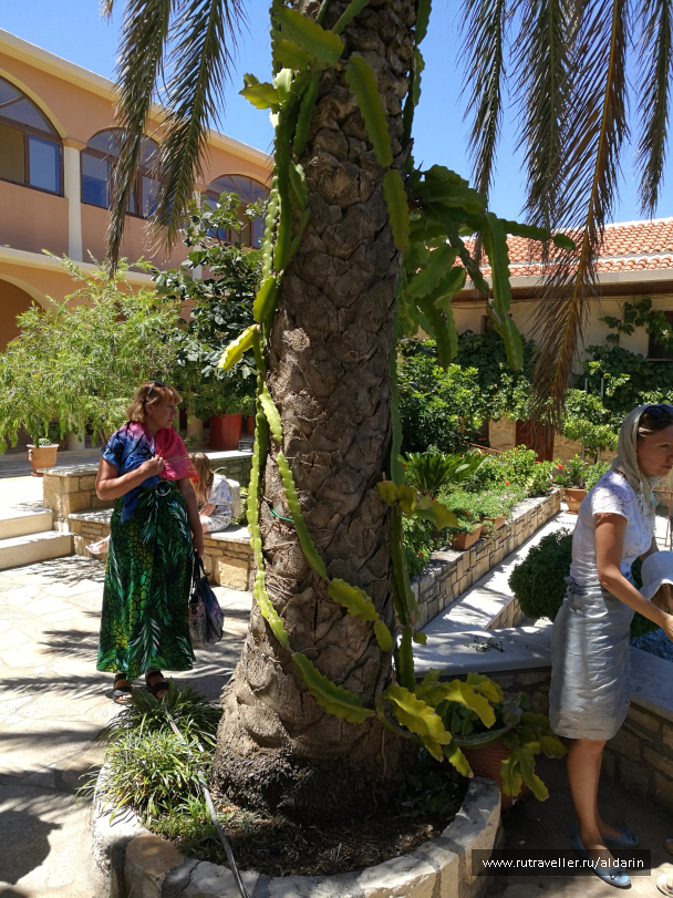 photo 1516184