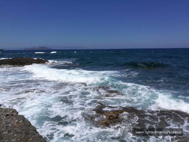photo 1516203