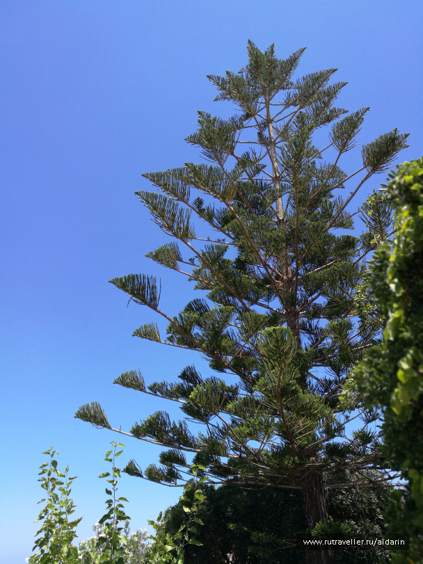 photo 1516210
