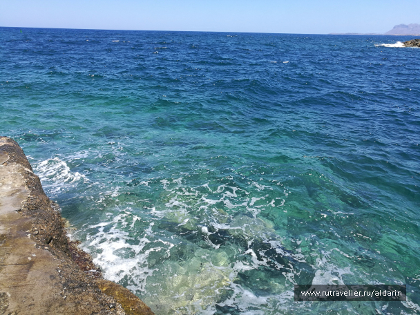 photo 1516212