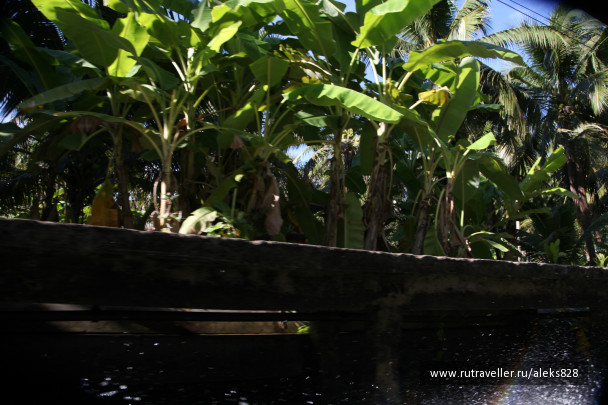photo 393463