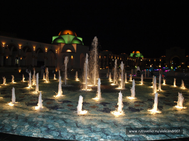 photo 238755