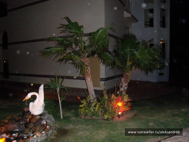 photo 201576