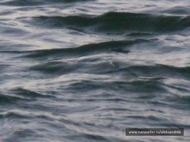 photo 201579