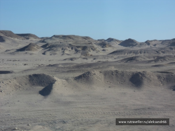 photo 201596