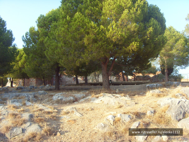 photo 291158