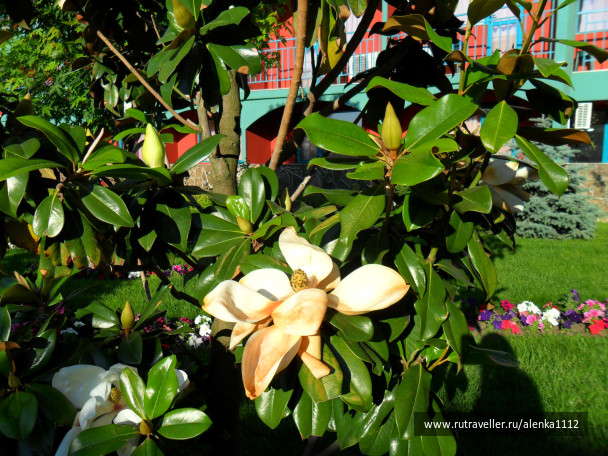 photo 292371
