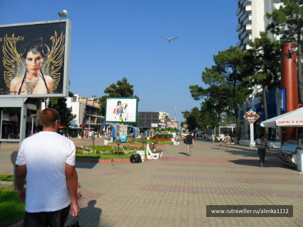 photo 292460