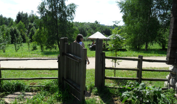 SAM_0303