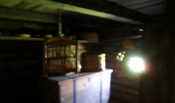 SAM_0264