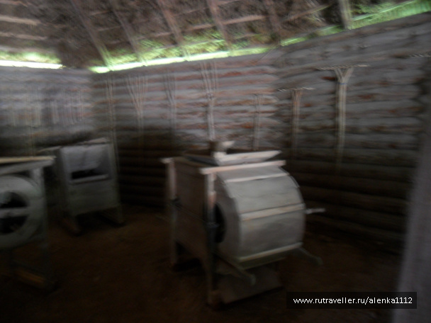 photo 293254