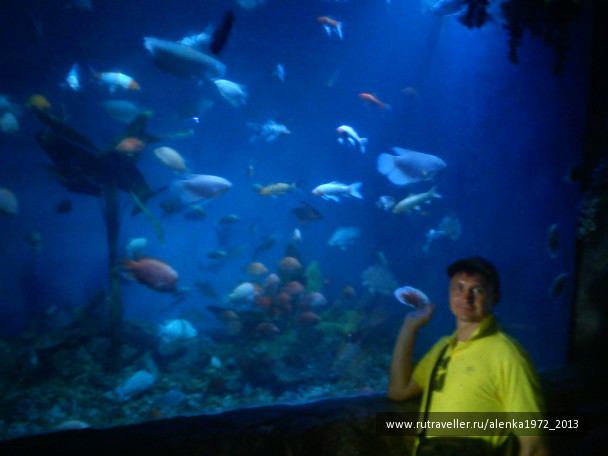 photo 420718