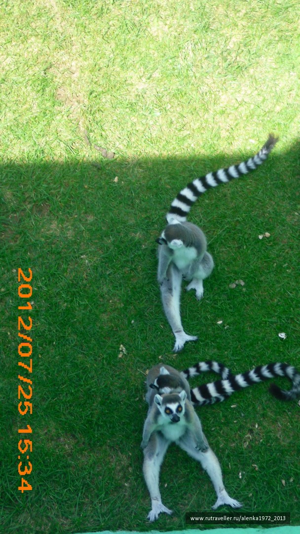 photo 420720