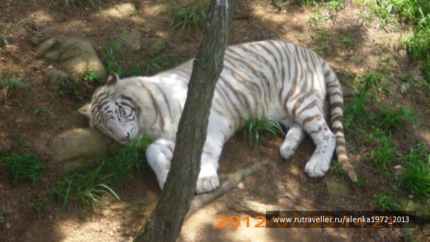 photo 420722