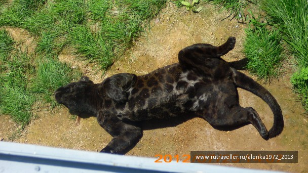 photo 420724