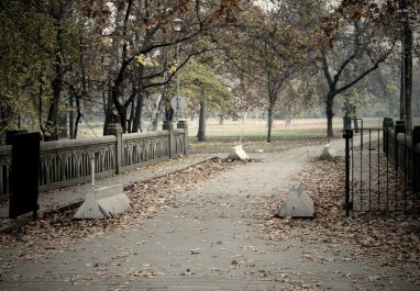 photo 219450