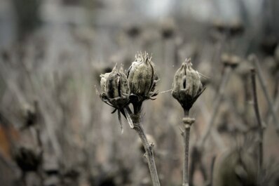 photo 220049