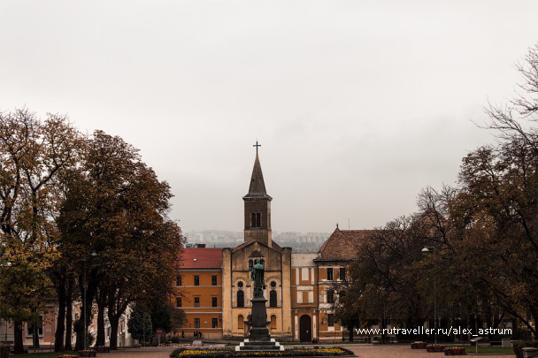 photo 593516