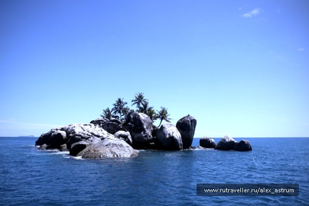 photo 245880
