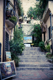 photo 495172