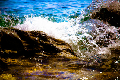 photo 495187