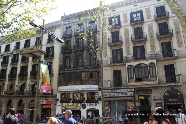 photo 148761