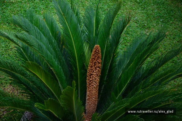 photo 210411