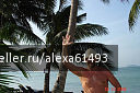 photo 198421