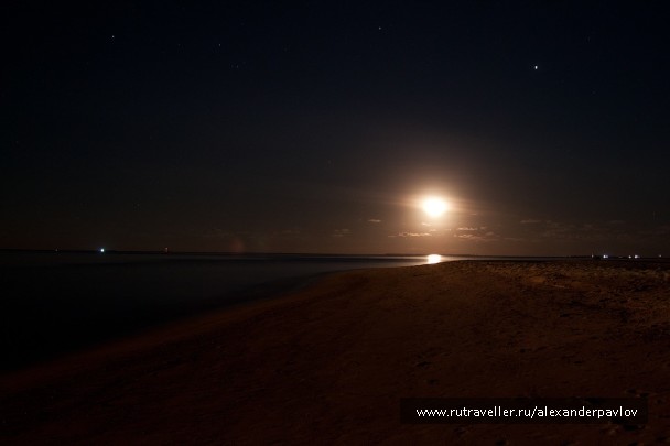 photo 87231
