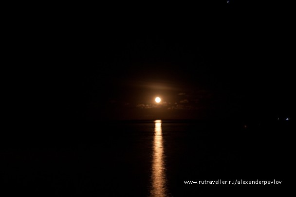 photo 87232